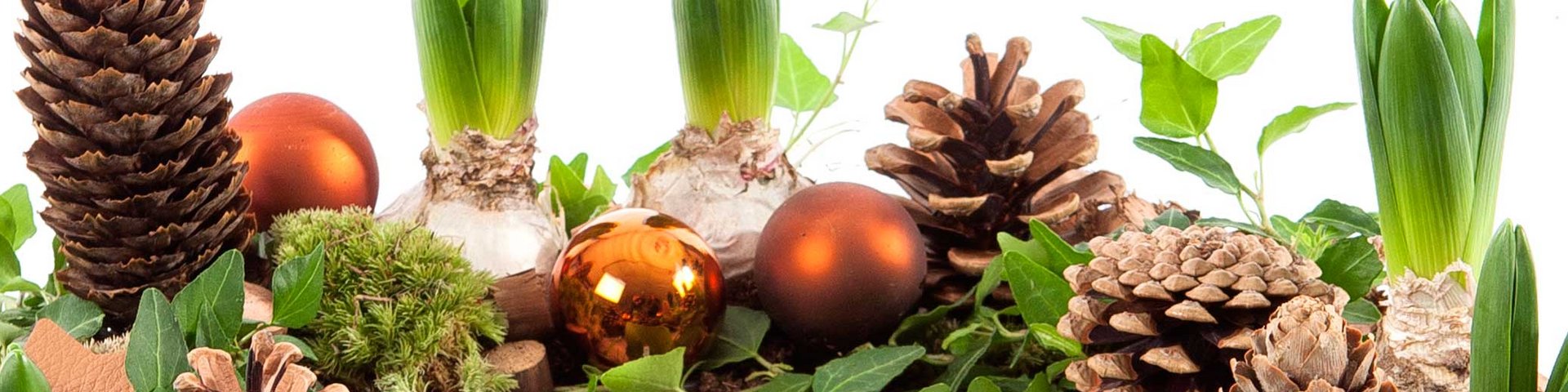 Billedet viser en dekorativ sammensætning med grantræskegler, glitrende orange kugler, friske løgplanter og grønne blade, arrangeret på en naturlig baggrund. Det skaber en hyggelig og festlig stemning.